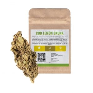 Les fleurs de CBD Lemon Skunk cultivées en extérieur possèdent des parfums de citron et de skunk prononcés. Ce caractère marqué est balancé par la douceur et l’équilibre typiques de cette variété de chanvre industriel légale. Naturellement riche en CBD (de 2 à 4%), elle constitue un produit idéal pour les amateurs.